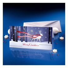 SIGEL Weihnachtskarten Winter's Eve DS017 DIN lang, 10 St.