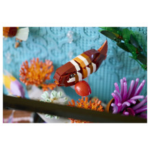 Piktogramos Tropical akvariumas (10366)