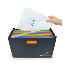 RAPESCO® Expanding File DIN A4 Extra Wide 13-Pocket Black