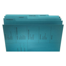 PAGNA Personalakte A4 5 Fächer blau
