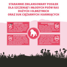 PUPIL Premium Junior didelių ir itin didelių veislių šunims – sausas ėdalas su jautiena – 12 kg PUPIL Premium Junior didelių ir itin didelių veislių šunims – sausas ėdalas su jautiena – 12 kg