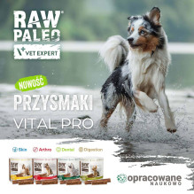 VETEXPERT Raw Paleo Vital Pro Arthro Beef Medium Large Mono - dog treat - 100g