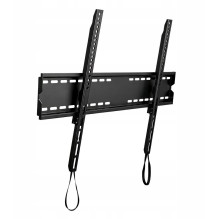 TV kronšteinas LCD / LED...