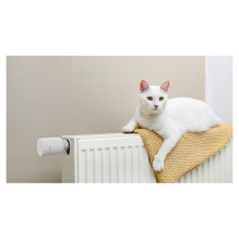 IMOU TRV1 - Radiator Thermostat (IOT-TRV1-EU) IMOU TRV1 - Radiator Thermostat (IOT-TRV1-EU)