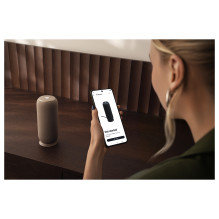 Motorola „Moto Sound Flow“ 30W nešiojama kolonėlė „Sound by Bose Wi-Fi Bluetooth“ IP67 12h pilkai ruda