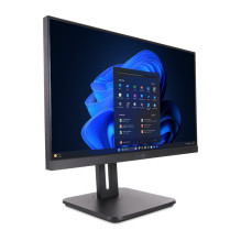 Dators Wortmann AG TERRA ALL-IN-ONE-PC 2420HA V2 GREENLINE*