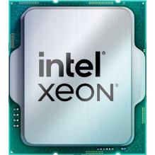 Intel Xeon E-2434 Server Processor (4C / 8T) 3.4 GHz (5.0 GHz Turbo) Tray Socket 1700 TDP 55W