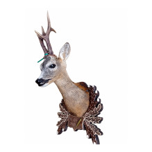 Custom model deer panoply, handmade from maple wood Custom model deer panoply, handmade from maple wood