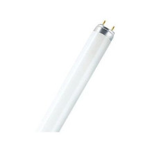 Osram Leuchtstoffröhre L T8...