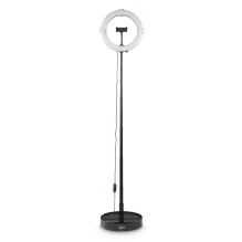Hama 00004658 SpotLight FoldUp 102 II for Smartphones