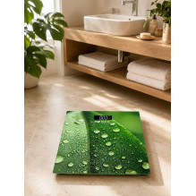 Brock BS 003 Bathroom Scale, 2xAAA Battery (included)