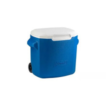 Coleman 28QT Performance...
