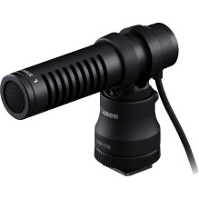 Canon DM-E100 stereo...
