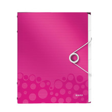 Leitz Divider Book WOW PP...