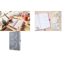 Sigel Agenda Beauty 2026...