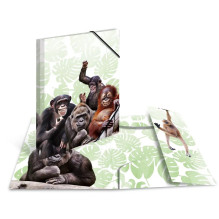 Parasta mapīte HERMA Monkey...