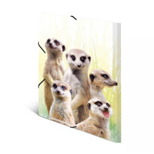 HERMA Meerkat troop parastā...
