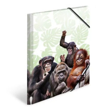 Mapes mape HERMA Monkey...