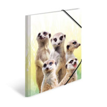 Mapes vāks A4 HERMA Meerkat...