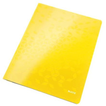 Leitz Flat File Card /...