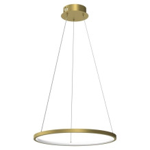 LED LENSER Ronday Pendant...