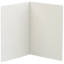 DAIBER Folder Passport...