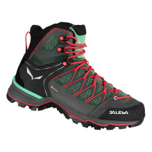 Salewa Mountain Trainer...