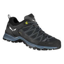 Salewa Mountain Trainer...