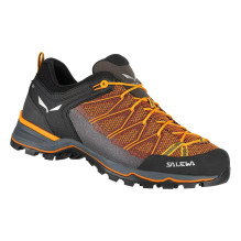 Salewa Mountain Trainer...