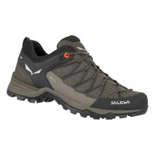 Salewa Mountain Trainer...