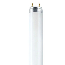 OSRAM L T8 36W / 840 G13...