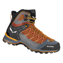 Salewa Mountain Trainer...