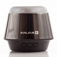 Evelatus Bluetooth Speaker...