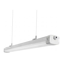 SYNERGY21 Synergy 21 LED...