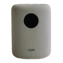 WiiM LPWISNDW Sound Smart...