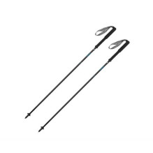 Gabel Carbon Feather-R...
