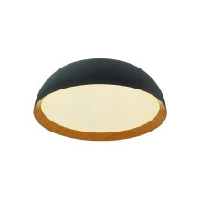 LED LENSER CEILING LED...
