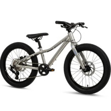 HUFFY Batch 20 inch...