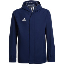 adidas Entrada 22 visu...