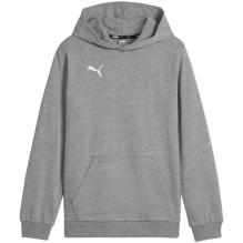 Puma Team Goal Casuals...