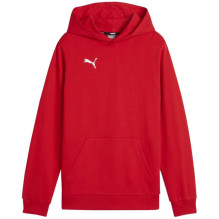 Puma Team Goal Casuals...