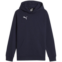 Puma Team Goal Casuals...