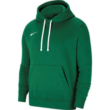 Nike Park 20 Hoodie Pine...