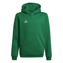 adidas Entrada 22 Hoody...
