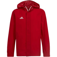 adidas Entrada 22...