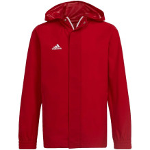 adidas Entrada 22 Visu...