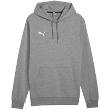 Puma Team Goal Casuals...