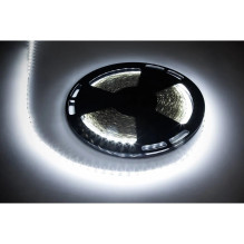 REBEL LED lentes komplekts...