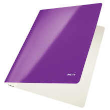 Leitz Flat File Card /...