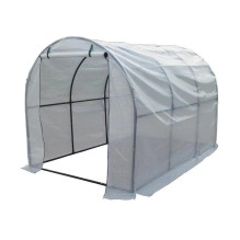 GREENHOUSE J01608AW...